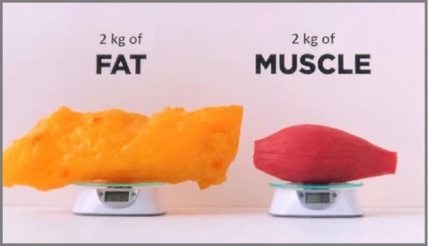 Fat-vs-Muscle-1.jpg